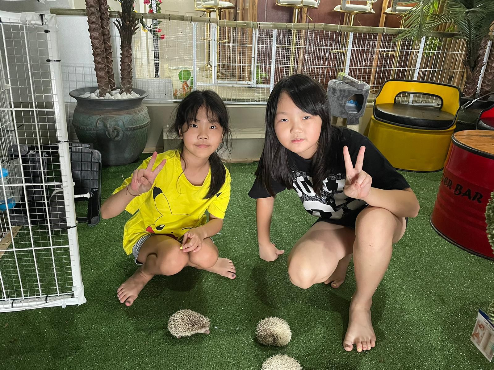 Beavers Animal Cafe interior seating family restaurant Thailand